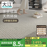 大江进口羊毛地毯客厅现代简约素色轻奢高级感沙发地毯200x300cm