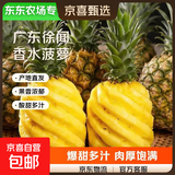 【东东农场专供】徐闻香水菠萝生鲜时令应季热带水果酸甜多汁菠萝 2个装净重3-3.5斤 徐闻菠萝单果650克起