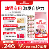 皇家猫粮 离乳期幼猫粮干湿套装BK34 2KG+幼猫湿粮罐头BMC 88g*6