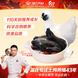 温氏供港白凤乌鸡2斤 冷冻食材 土鸡农家散养 110天以上 十全乌骨鸡