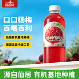 扬百利（yumberry）仙居杨梅汁杨梅百利1L单瓶装
