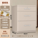 虎牌保险柜家用型60cm床头柜保险箱一体隐藏式床头柜式保管柜全钢内柜双锁设计防盗防搬走可选智能外柜 香槟色 标准款（E1环保带锁外柜+实心锁栓） 密码款（密码+钥匙）