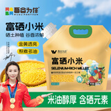 吾谷为伴富硒小米5斤 黄小米 小黄米 月子米 小米粥 五谷杂粮