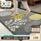 大江入户地垫门口脚垫户外进门地毯高端丙纶入户门垫80x110cm