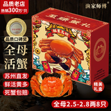 【活蟹】漁家师傅大闸蟹全母2.5-2.8两8只去绳足重鲜活螃蟹现货生鲜礼盒 源头直发