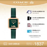 蔻驰（COACH） CASS系列 皮带石英女表 14504227 孔雪儿推荐 礼物/送礼