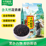 十月稻田 黑米 2斤 全谷物粗粮 五谷杂粮 低脂粗粮 黑色谷物