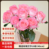 京东鲜花【艾莎】玫瑰花10枝如意基地鲜切花水养插花生活花束山东源头直发