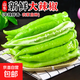 【东东买菜】山东新鲜绿尖椒农家自种现摘现发香辣青椒尖椒 新鲜绿尖椒2斤（净重1.7斤）