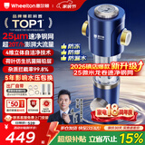 惠尔顿前置过滤器20T大通量过滤25微米反冲洗家用全屋净水器 实时自动清洗刮洗自来水防爆过滤器P0038pro 上门安装【20T-升级25微米精滤】