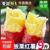 正宗黄心板栗红薯新鲜沙地蜜薯粉糯香甜宝宝辅食直播间京东包邮 板栗红薯 5斤 含箱 中大果（单果3两起）