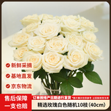京东鲜花玫瑰花【白色随机】20枝基地新鲜日常悦己礼物基地源头直发