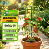 绿园匠植物爬藤支架花卉绿植攀爬固定支柱防倒伏支撑固定花盆架子两层
