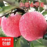 苹果树苗红富士苹果苗糖心苹果树庭院地栽盆栽果树苗南北方种植 红富士 5年苗（结果苗）热销款
