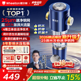 惠尔顿前置过滤器20T大通量过滤25微米反冲洗家用全屋净水器 实时自动清洗刮洗自来水防爆过滤器P0038pro 上门安装【20T-升级25微米精滤】