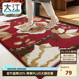 大江入户地垫门口脚垫户外进门地毯高端丙纶入户门垫60x90cm