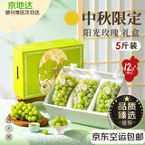 京地达云南香印青提晴王葡萄礼盒 5斤单果12g+特大新鲜水果源头直发包邮