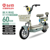 台铃电动自行车新大果粒2026新国标可上牌48V20Ah铅酸电池通勤代步电动车电自莫兰迪绿