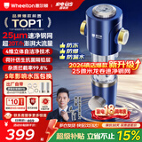 惠尔顿前置过滤器20T大通量过滤25微米反冲洗家用全屋净水器 实时自动清洗刮洗自来水防爆过滤器P0038pro 自行安装【20T-升级25微米精滤】