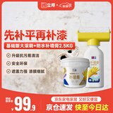 立邦墙面修复补墙膏补墙漆防水防霉抗菌堵洞腻子膏白色 500g+2.5kg
