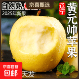 正宗黄元帅苹果9斤新鲜水果应当季粉面黄金帅大连黄脆苹果汁整箱 9斤装净重8.5斤 85mm-90mm