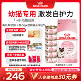 皇家猫粮 离乳期幼猫粮干湿套装BK34 2KG+幼猫湿粮罐头BMC 88g*6
