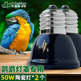 茨格曼 鹦鹉保温灯鸟笼取暖器加热灯幼鸟幼宠过冬玄凤鸟笼保暖灯 100W灯泡*2个【消耗品备用】