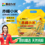 吾谷为伴赤峰小米2斤 小米粥黄小米 金苗k1蒸饭更软糯