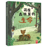 藏在森林里的生命 自然科学动物百科全书 生命的故事儿童绘本国外经典 2-3-4-6岁科普认知启蒙故事书早教幼儿小百科 