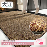大江入户门地垫脚垫户外门口地毯硬丝进门垫57x87cm