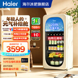 海尔（Haier）冰吧迷你冰箱家用冷藏柜办公室客厅小冰箱小型冰柜一级能效茶叶饮料水果保鲜柜美妆柜复古元气系列 169L【风冷无霜】双温区｜黑金净化｜带制冰室