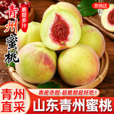 京地达桃子青州蜜桃子新鲜水果中秋送礼净重3斤单果125g+源头直发包邮