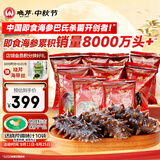 晓芹大连冷冻即食海参500g 7-9只 辽刺参 海鲜水产