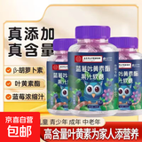 蓝莓叶黄素酯软糖蓝莓叶黄素酯软糖成人糖果叶黄素软糖 【蓝莓叶黄素软糖】 60g*3瓶