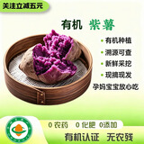 有机认证 有机紫薯 无农残新鲜现挖宝宝辅食美味健康香甜软糯好吃 5斤