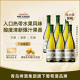 华东橡木桶窖藏莎当妮干白葡萄酒750ml*6瓶 整箱 聚会微醺 国庆出游