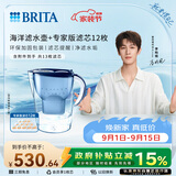 碧然德（BRITA）过滤净水器 家用滤水壶 净水壶 Marella 海洋系列+专家版滤芯12枚（含附件）