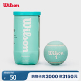 Wilson威尔胜2025全新配色罐装网球2颗装 知更蓝色【球上数字随机】
