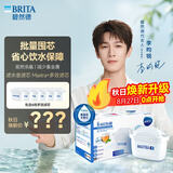 碧然德（BRITA）滤水壶滤芯 Maxtra+多效滤芯6只装 过滤器净水器滤芯 碧然德滤芯 可滤水150L