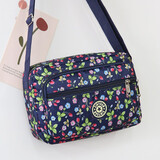 帝行（DIXING）包包女妈妈零钱钥匙手机斜挎多层小布包中老年买菜单肩帆布包 草莓花