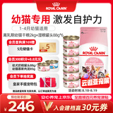 皇家猫粮 离乳期幼猫粮干湿套装BK34 2KG+幼猫湿粮罐头BMC 88g*6