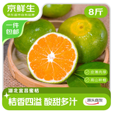 京鲜生湖北宜昌青皮蜜桔 净重8斤 单果55mm+ 新鲜水果桔子 源头直发包邮