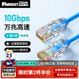 泛达 泛达超六类细网线CAT6A类跳线家用电脑宽带POE监控万兆高速成品线 经典蓝 30米