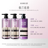 夏伯雅莲新升级 2.0依兰香多肽精油洗发水666g氨基酸控油去屑男女蓬松 2.0依兰花洗发水*2+同香柔顺护发乳