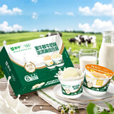 蒙牛鲜奶杯90gx6(鲜牛奶味*3+芒果味*3） 鲜牛乳≥50%