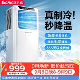 志高（CHIGO）移动空调大1匹单冷无外机免安装欧洲热卖便携式空调厨房客厅铜管立式空调