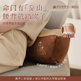 真不二垫脚枕西安博物院联名百里金方安足枕腰靠枕生日礼物送父母长辈