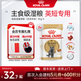 皇家猫粮英短成猫粮 BS34 通用粮丰盈毛发健硕体态 主食级通用粮 英短成猫湿粮（浓汤肉块）85gX3
