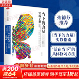 【正版包邮】当下的力量 白金版 埃克哈特·托利经典之作 张德芬推荐 中信出版社 新华书店旗舰店励志成长成功书籍 【单册】当下的力量实践手册 白金版