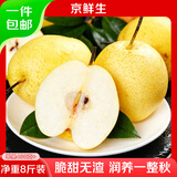 京鲜生河北雪花梨 净重8斤 单果400g+ 新鲜雪梨 生鲜水果 源头直发